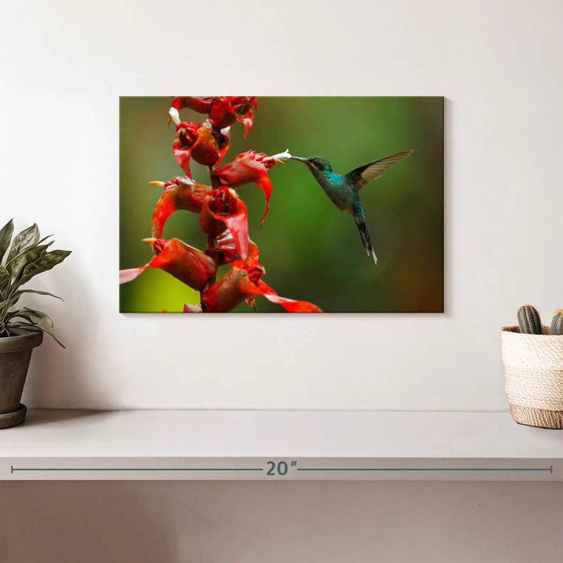 Collation de fleurs de colibri Brampt, H 8 po x l 12 po
