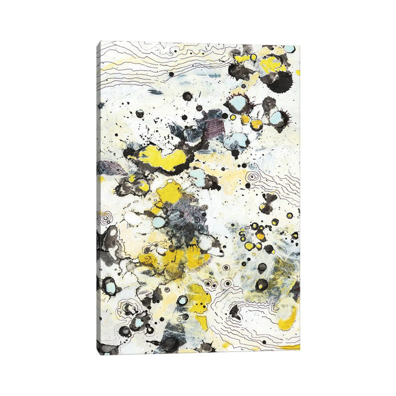 Topo I by Jodi Fuchs - 1 Piece Wrapped Canvas Painting, 101.6 cm H x 66.04 cm W x 1.91 cm D