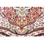 Tapis oriental Darwen-1619401414