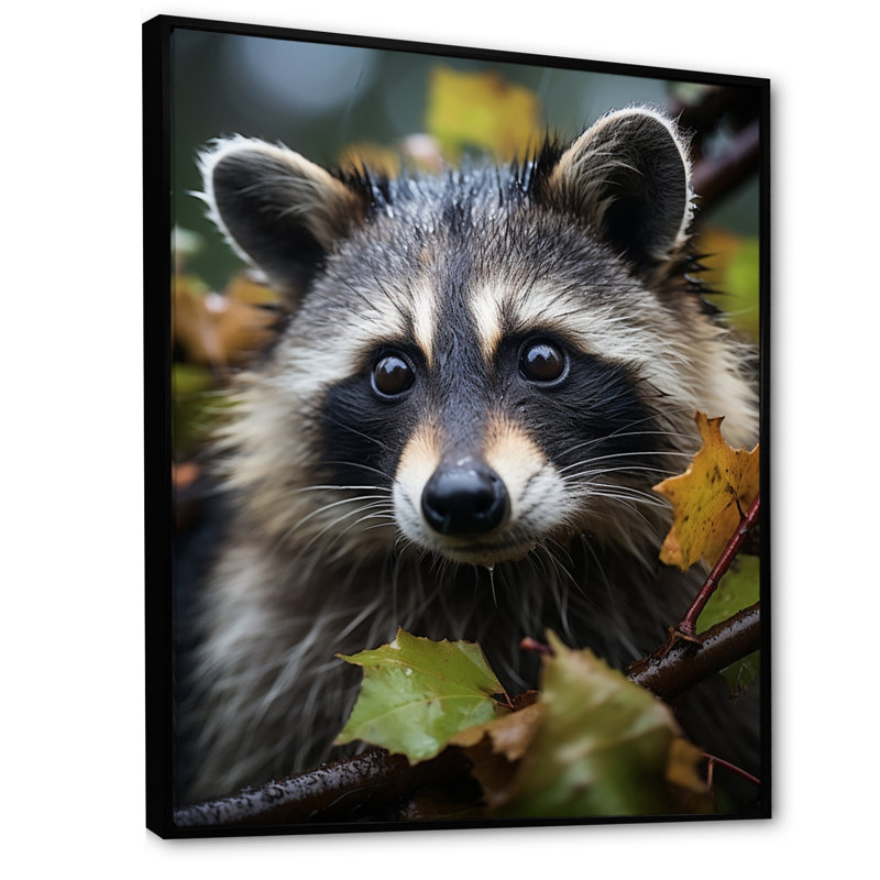 «Vibrant Raccoon Portrait II», reproduction sur toile, H 44 po x l 34 po x P 1,5 po, Cadre flottant noir