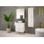 Rigdel Washbasin Cabinet 60-192775269