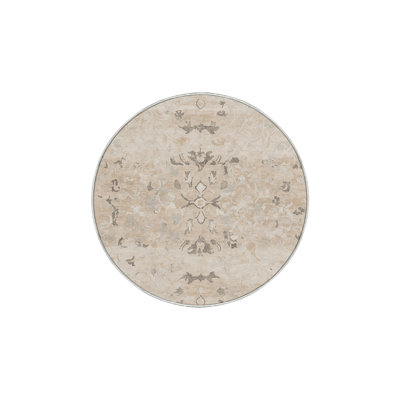 Machine Washable Beige Area Rug GSIX03682