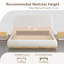 Lit plateforme tapissier Burritt-131021833