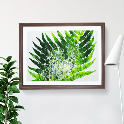 Fern Leaf Splash Vol.2 - Framed Print