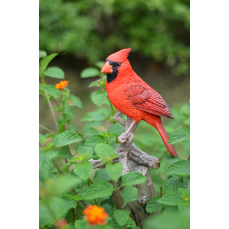 Statue cardinal sur branche