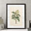« palmierss iv » par paul cezanne-reproduction d’art sur image-454558735-454559216