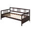 Lit de jour simple moderne en bois massif avec rangement, canapé et lit multifonctionnels, structure en pin durable, espresso-118474861