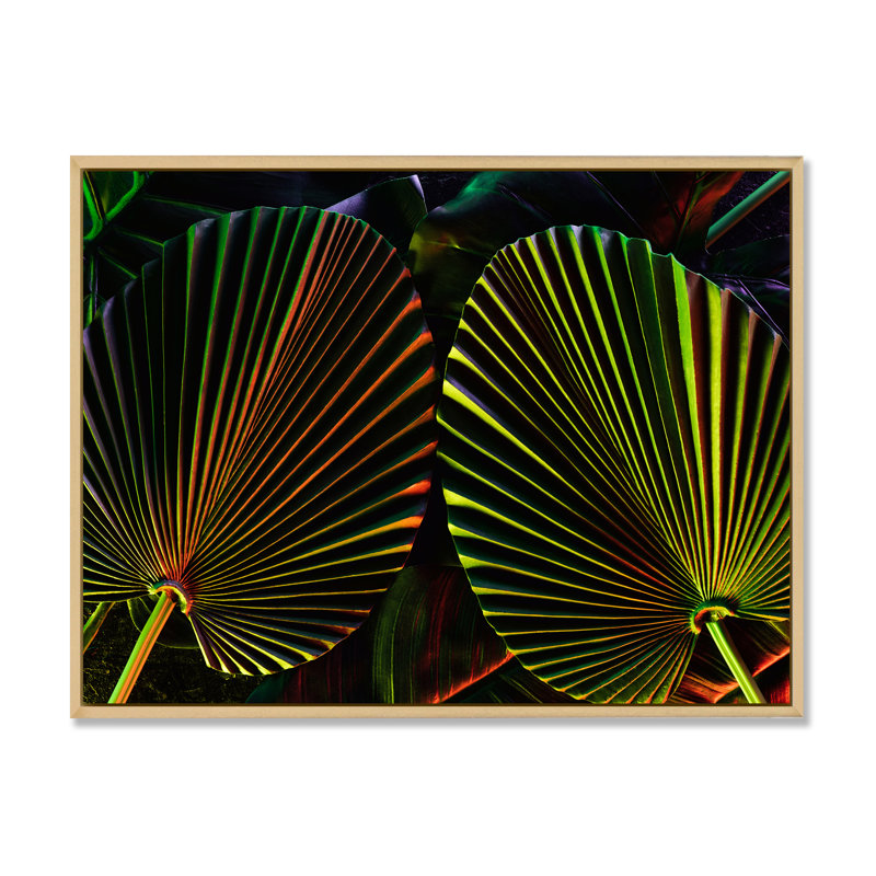 Feuilles tropicales ton sur ton noir - photographie sur toile, H 16 po x l 32 po, Cadre flottant en érable