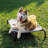 Daisha Nylon Pet Bed-368737592-368737599
