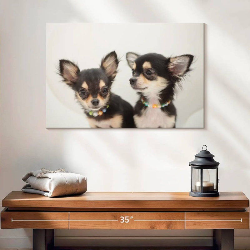 Chihuahua Duo, H 16 po x l 24 po