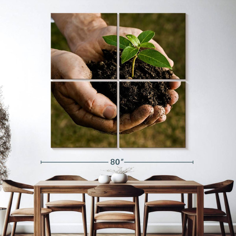 Senne New Seedling Sprouting, 74" H x 74" W