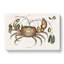 Land Crab by Mark Catesby - Wrapped Canvas-55309980