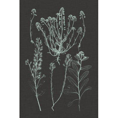 Mint & Charcoal Nature Study III by Vision Studio - Wrapped Canvas Painting