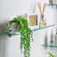 Drill / Screw Shower Shelf