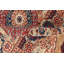 Aryana Wool Oriental Area Rug