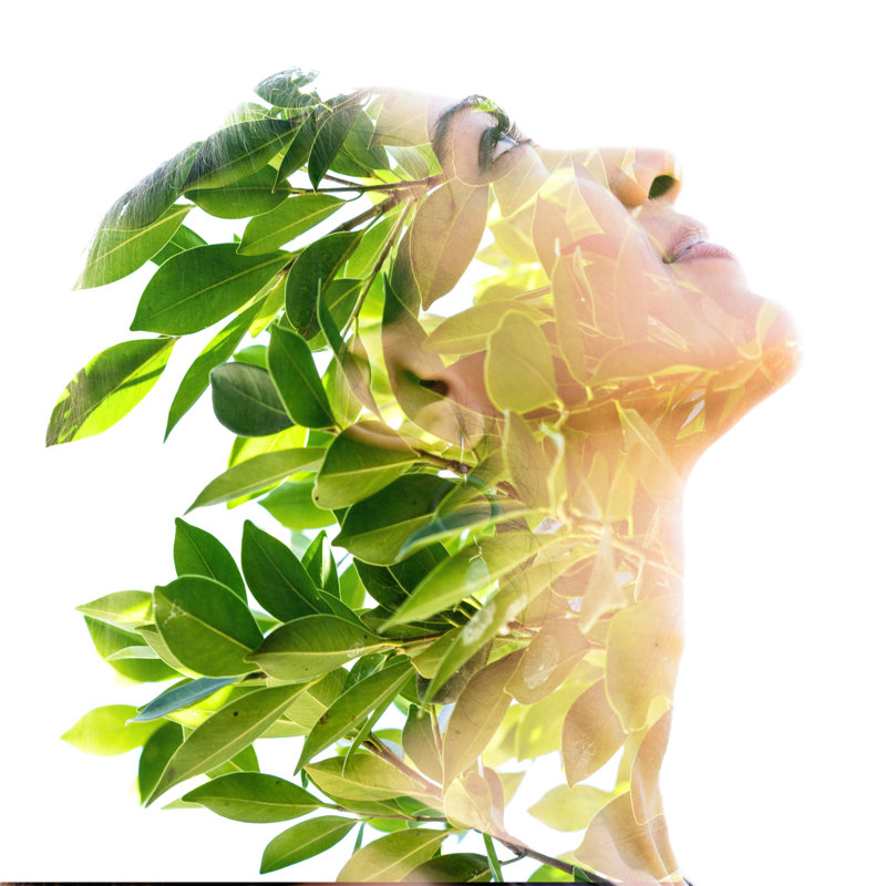 Double Exposure - Wrapped Canvas Print, 30cm H x 30cm W x 3.8 cm D