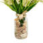 Heather Floral Arrangements with Shells in Mason Jar-1393573937