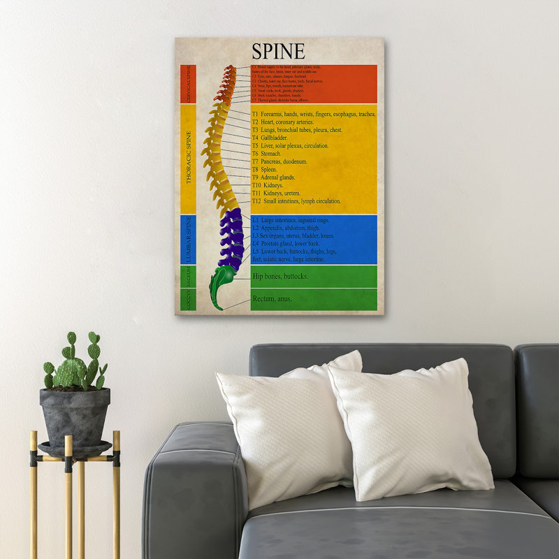 «Spine Analysing - Spine», reproduction d'art graphique sur toile tendue, H 20 po x l 16 po x P 2 po