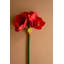  Amaryllis artificiel rouge - tige haute de 30 po, ensemble de 6