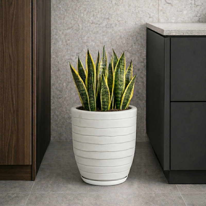 Pot à fleurs rond Clumm ECOBO EcoFriendly, utilisation intérieure Ravina, utilisation quatre saisons, Blanc cassé / blanc