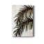 Palm II - reproduction sur toile tendue-1723420906