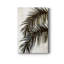 Palm II - reproduction sur toile tendue-1723420910