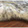 Wiedman Performance Faux Sheepskin Washable Indoor Rug