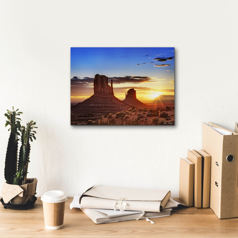  «Pink Morning Glory 3» par David Drost, art mural sur toile, 16 po x 12 po, H 12 po x l 16 po