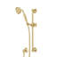 Spa Shower Complete Shower System-53674333