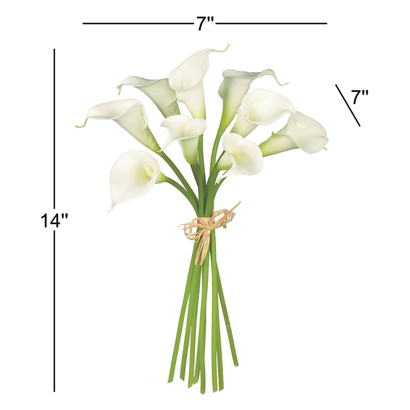 Raelynn Calla Lily
