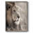 Leo Framed Print - Solid Wood-2146503855
