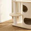 Structure d'escalade simple pour chat blanc cassé