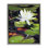 Art mural sur toile Pond Waterlily Surprise Floater, design par Sarah Waldron Kimball
