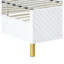 Lit Urban Simplicity-2050224914-2050224915