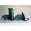 Lone Bear Bookends