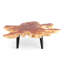 Solid Wood Coffee Table