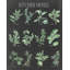 «August Grove® Paschke, Chris», art sur toile tendue sous le titre «Kitchen Herb»-1606044183