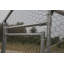Cage à poules en métal Crellen-1580637216