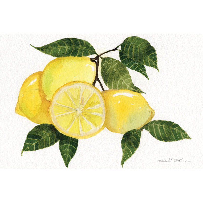 «Citrus Garden VI» par Kathleen Parr McKenna, reproduction d'art sur toile tendue, H 12 po x l 18 po