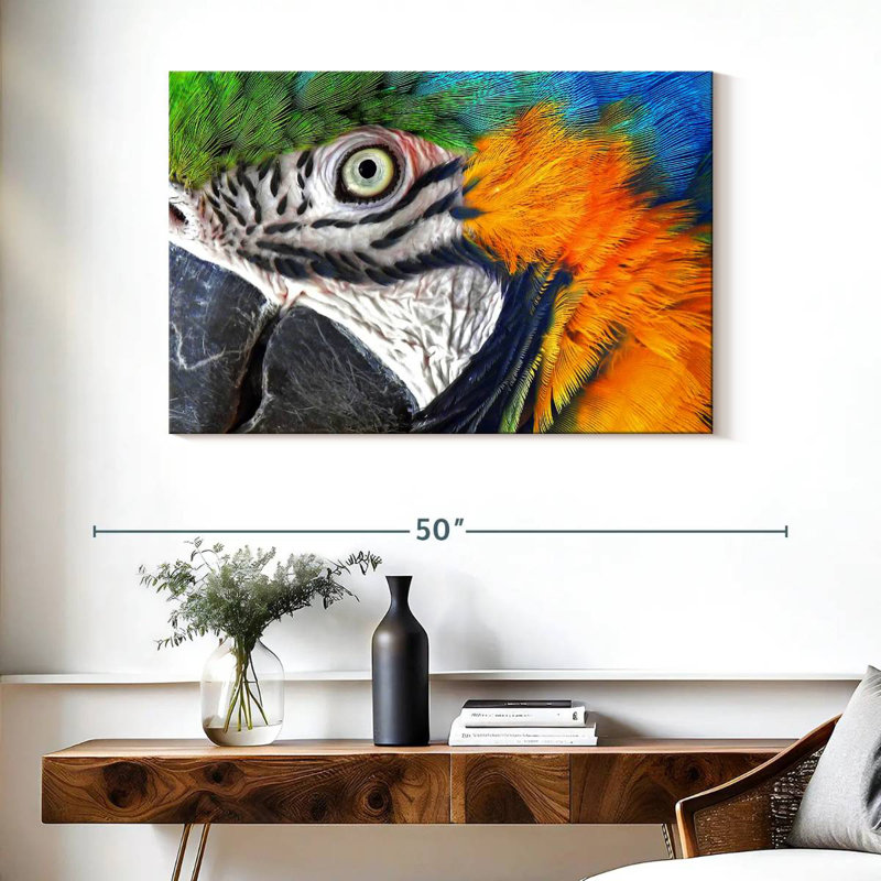 Brampt Macaw Eye, H 26 po x l 39 po