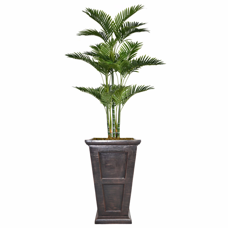 Aislin Artificial Palm Tree in Planter, 79" H x 40" W x 32" D