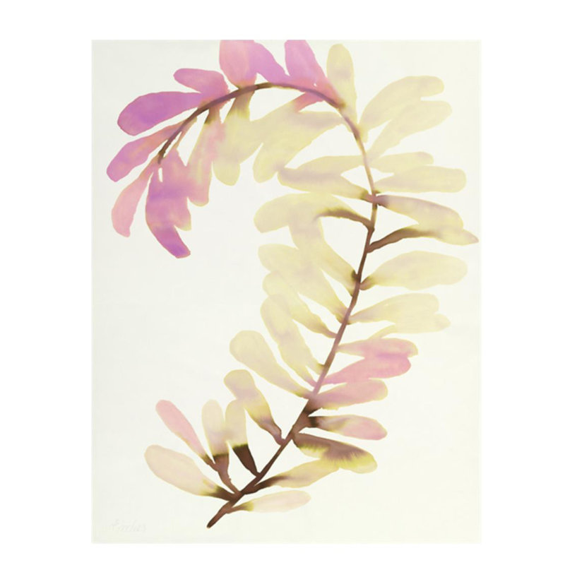 "Plants VIII" par Hable Construction - impression sur toile tendue, Couche de verre, H 52 po x l 40 po