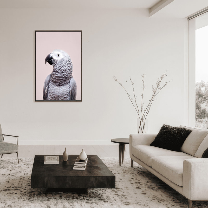 «Nature Inspired African Gray» par Kathrin Pienaar - photographie encadrée sur papier, Framed Canvas, White