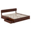 Lit Ause-1763986512-1763986509