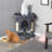Brympton 23.5'' H Cat Tree-1716039121