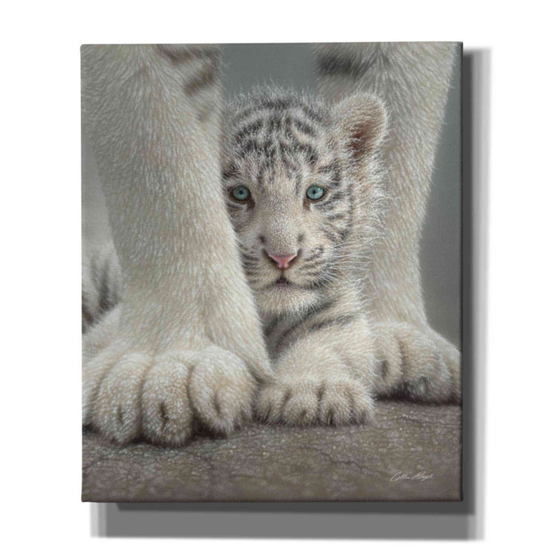 'Sheltered' by Collin Bogle, Canvas Wall Art, 24" H x 20" W x 0.75" D