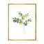 «Eucalyptus Leaves on White II», reproduction sur toile-67236229-67236217