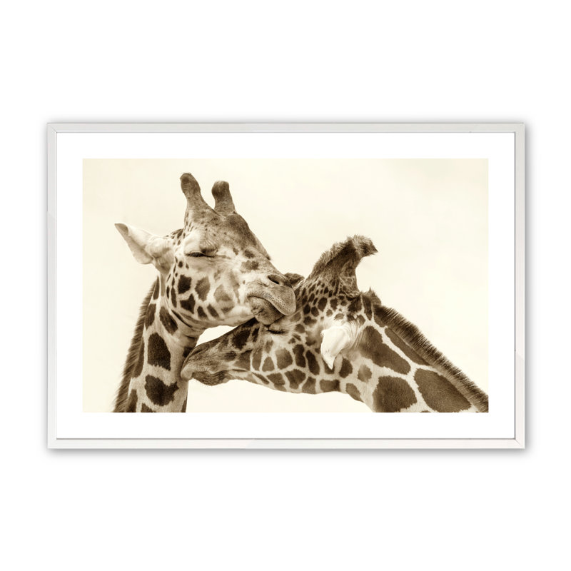 Demariae Passages Of Calm par Carrie Ann Grippo-Pike, H 18 po x l 24 po x P 1,25 po, Blanc opaque