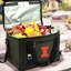 NCAA Illinois Fighting Illini