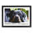 Black Framed selected